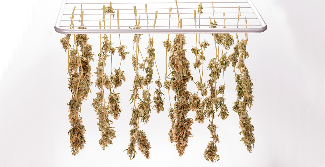 Hanging drying rack for weed